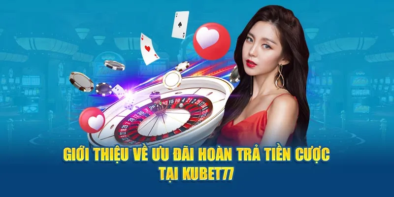 Giới thiệu về ưu đãi hoàn trả tiền cược tại KUBET77